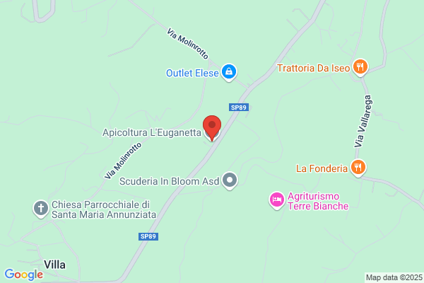 Faggionato Primo
