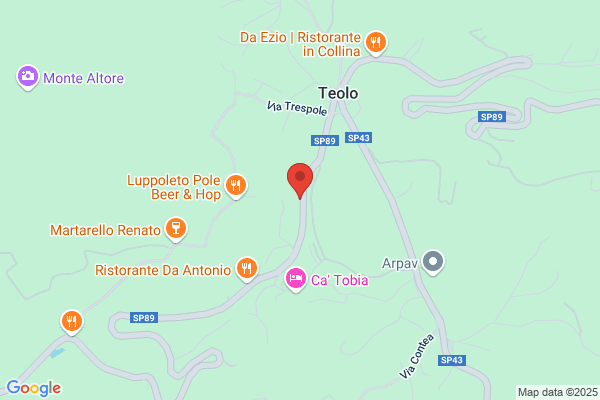 Polito franco