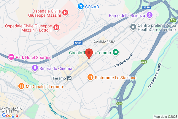 Toelettatura Can D'Or