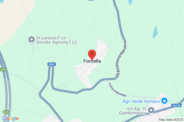 Forcella Cesare (Ing.)