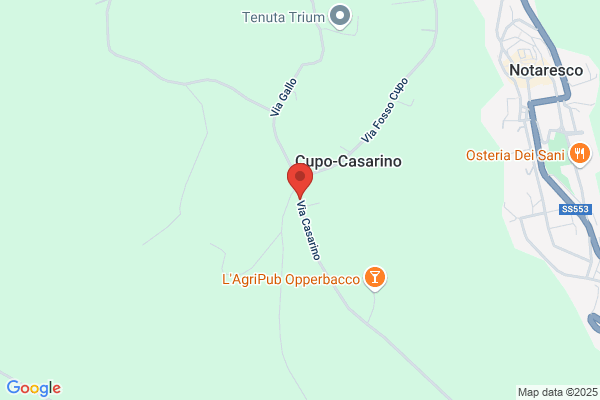 Recchiuti enrico