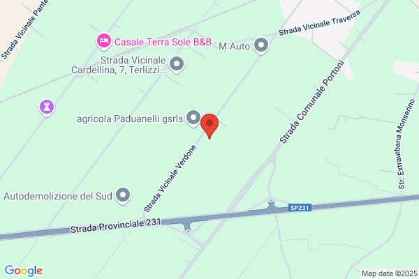 Paduanelli franco