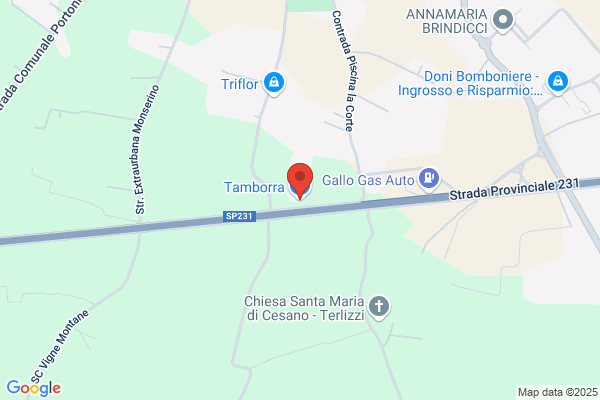 Tamborra nino