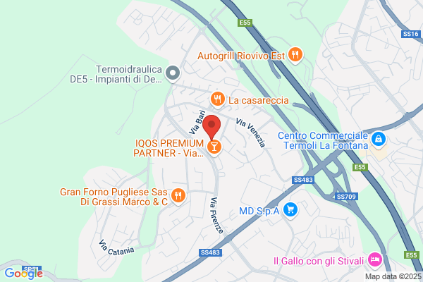 Istituto Tecnico Industriale Statale