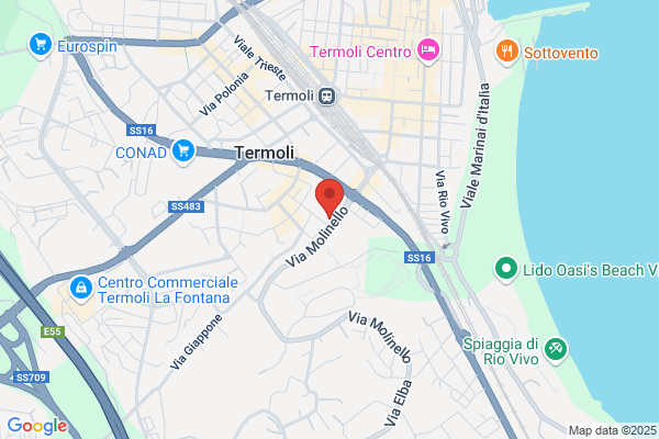 Istituto Europeo Centro Studi Leonardo