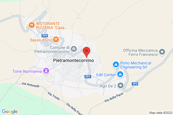 R.R. Puglia S.R.L.