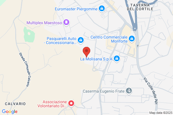 S.G.M. Stampaggio Gomma Molise Srl