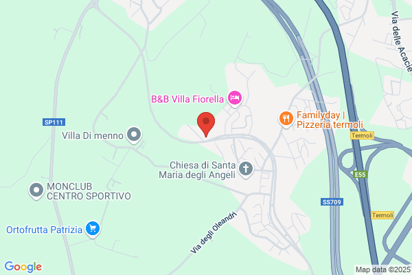 Telemolise