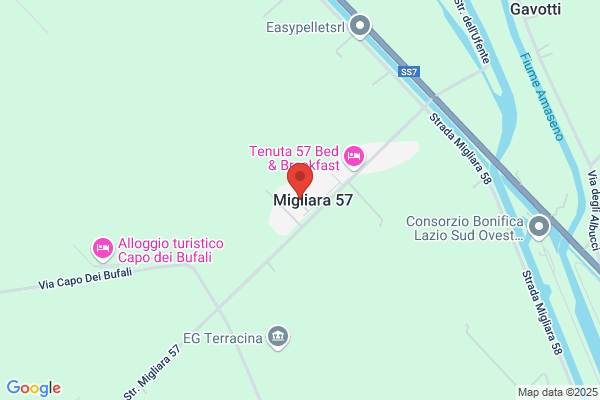 Tafuro alfredo