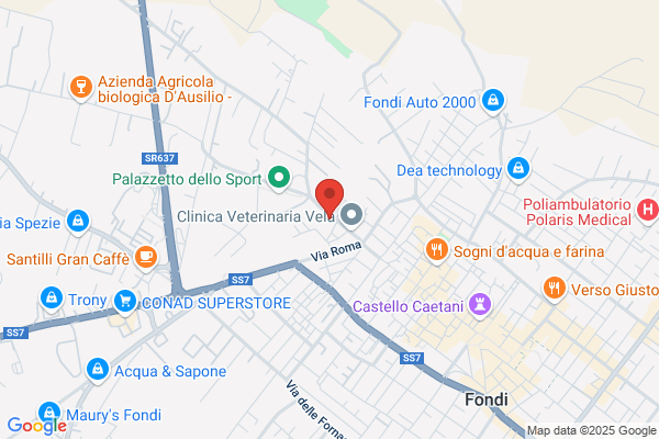 Viola & Zomparelli Srl