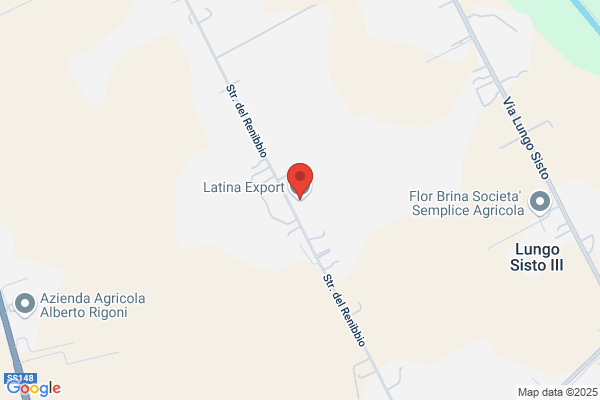 Latina Export. Srl