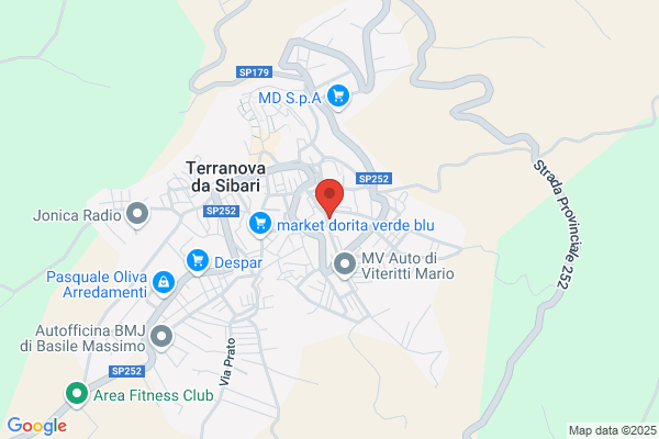 Il Professionista dello Pneumatico