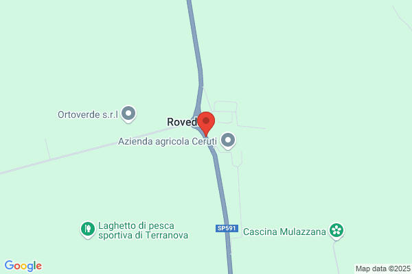 Fergeo S.R.L.