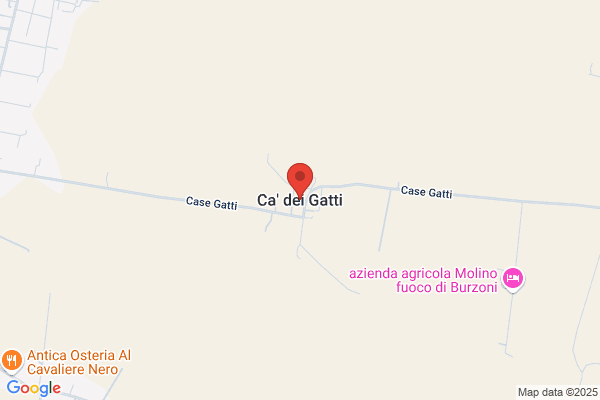 Gatti Domenica