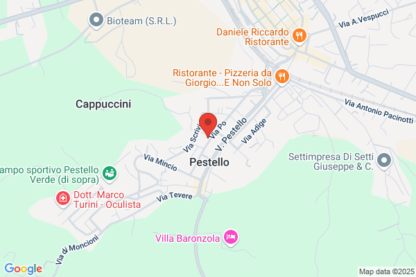 Zamponi dante