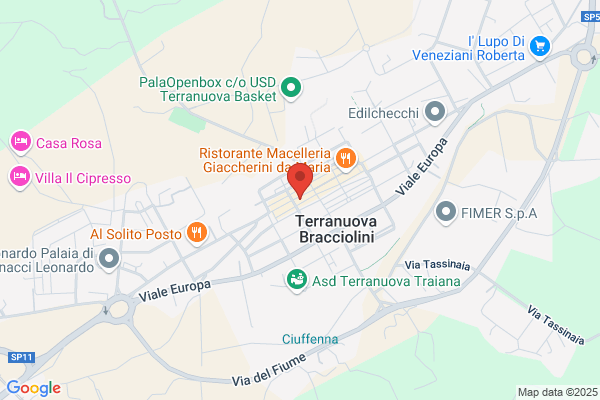 Partito Democratico Della Sinistra