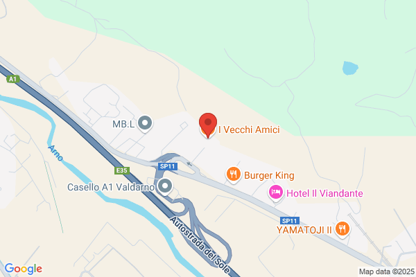 I Vecchi Amici
