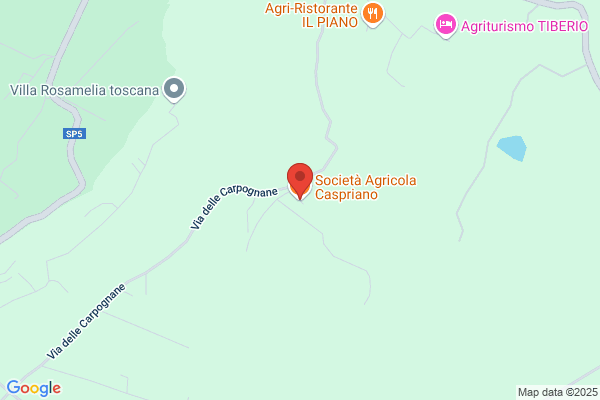 Francioni,paolo