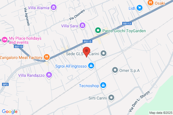 Security Express Srl