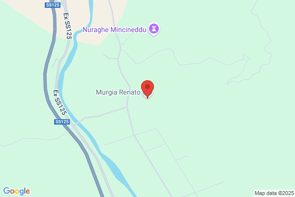 Murgia mario