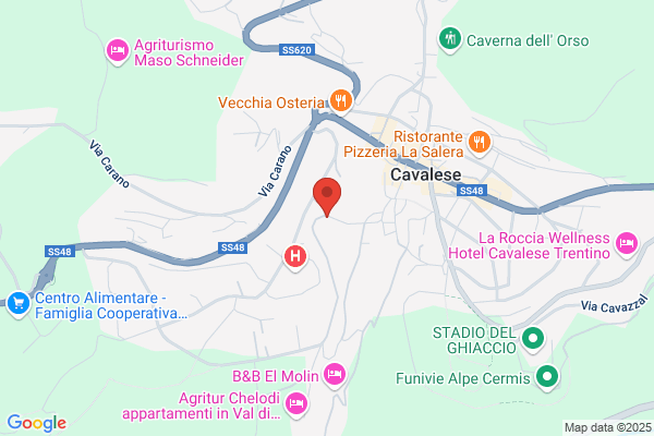 Area Grafica