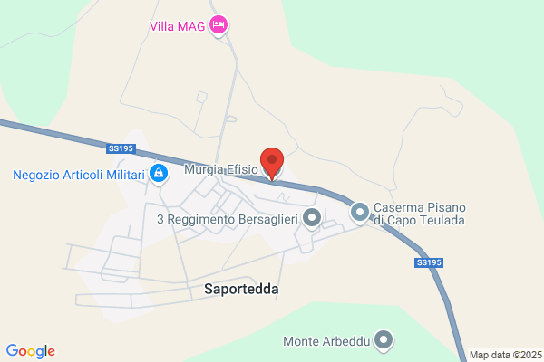 Murgia efisio