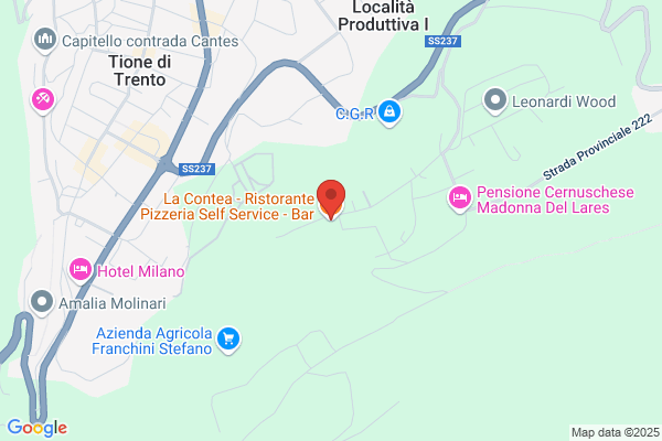 Ristorante Pizzeria La Contea