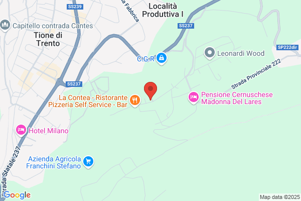 Masterlegno di Festi Giuseppe