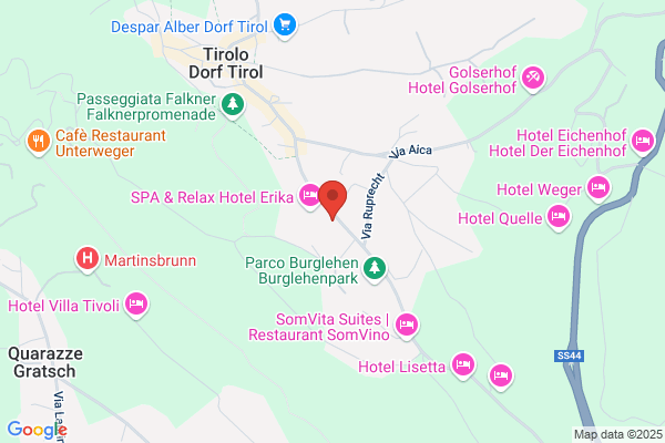 Hotel Alpenhof%hotel Alpenhof