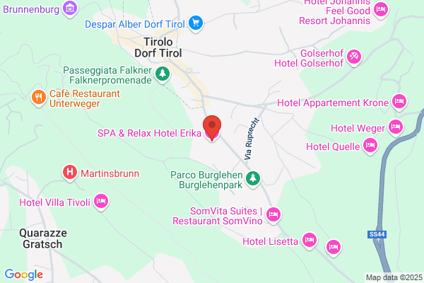 Hotel Erika