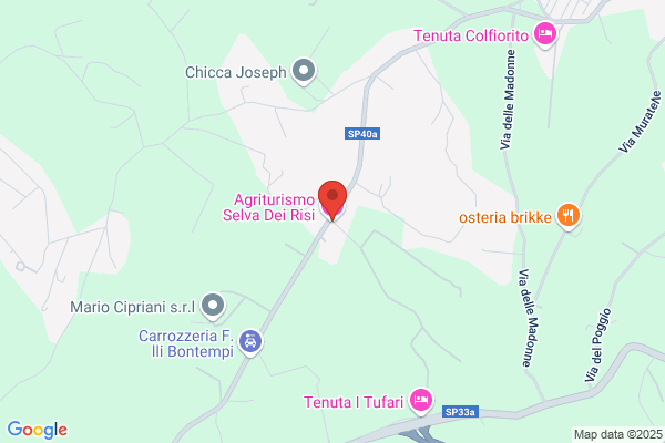 Selva Derisi Srl