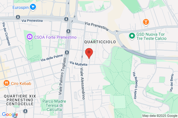 Libera Organizzazione Di Volontari