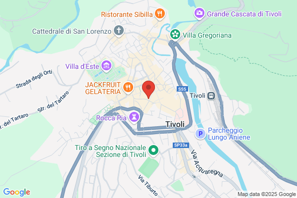 Ter Srl