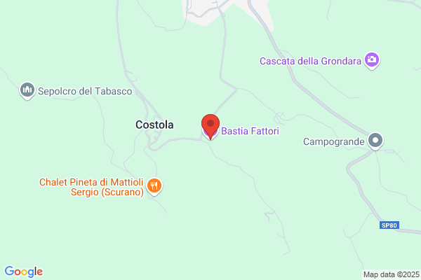 Fattori Francesco