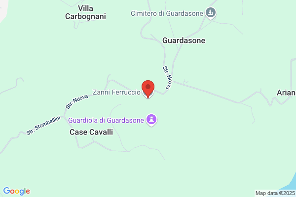 Zanni francesco