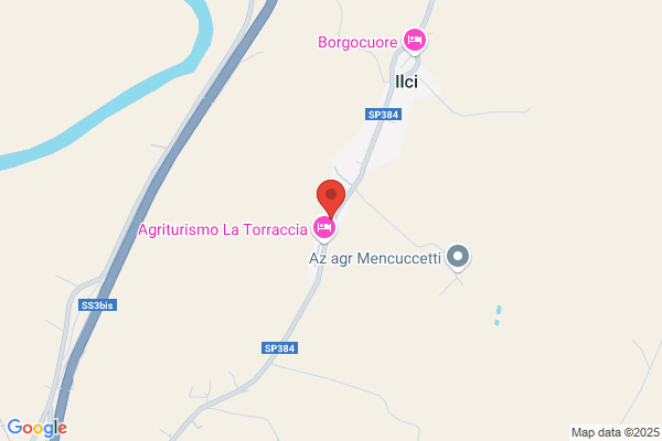 Martorelli palma (Rag.)