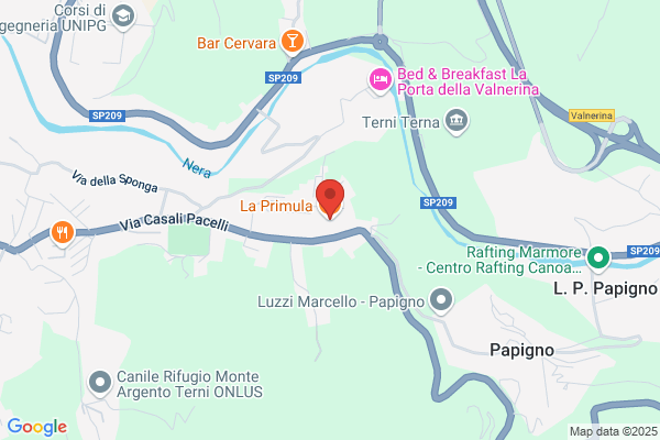La Primula Di Cascianelli Marcella