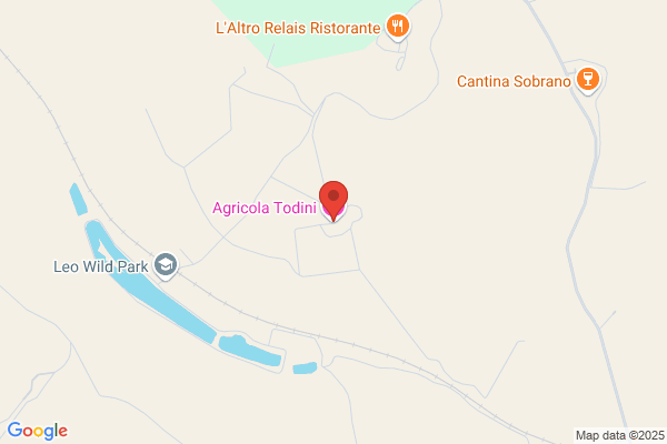 Agricola Todini