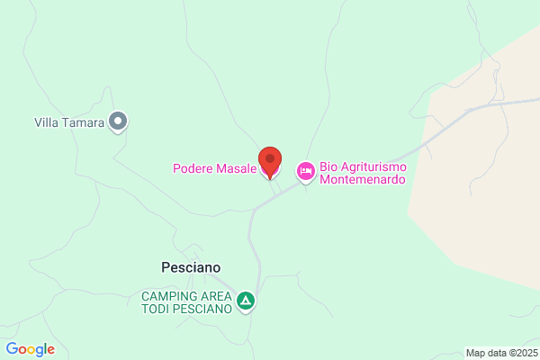 La Masale