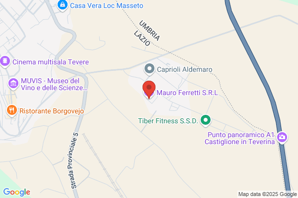 Ferretti Mario