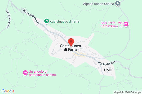 Il Fiore Di Carla Gattafoni