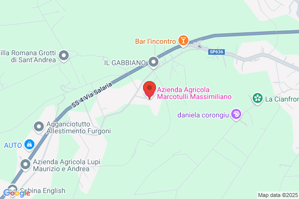 Lucarelli carlo