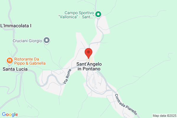 Torresetti antonella