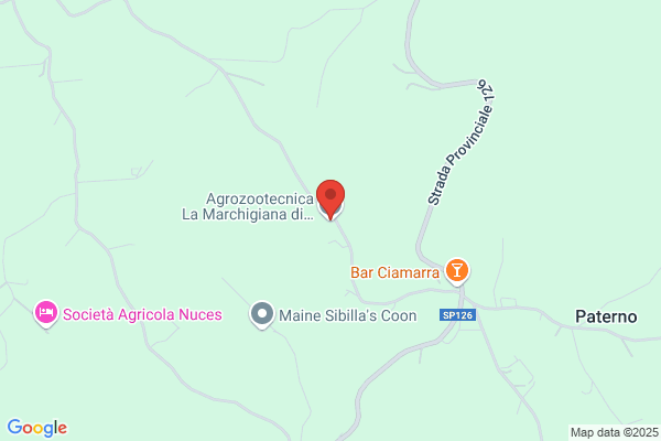 La Nuova Stalla Marchigiana S.N.C.