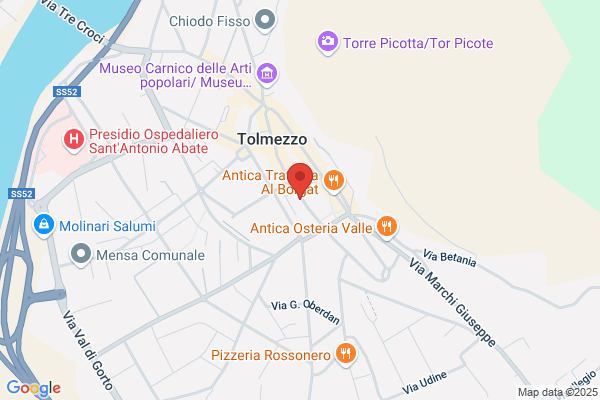 Zamolo germano (Geom.)