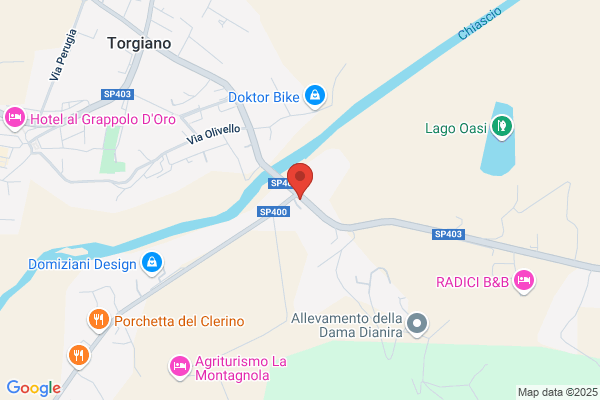 Pizzichini Udillo