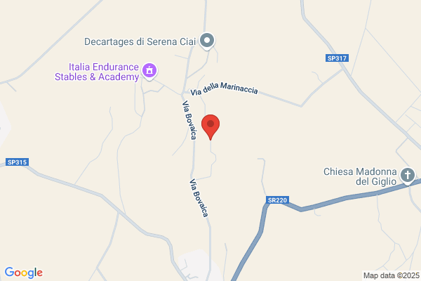 Elettroponte Sas Di Bartoccetti Luciana E C.
