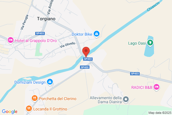 Romoli sandra