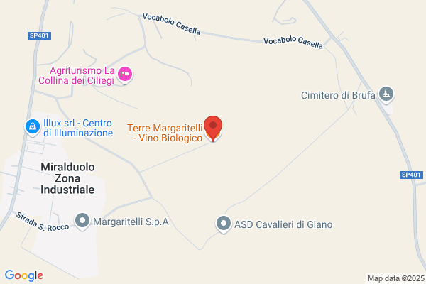 Terre Margaritelli