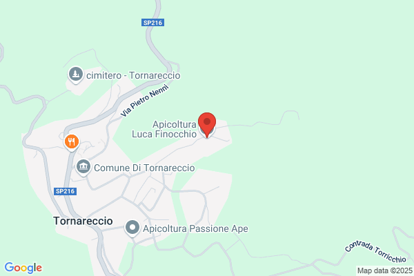 Finocchio Romualdo